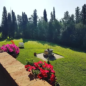 Niccoli Italy